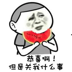 聊娱乐的吃瓜群众评价,聊娱乐话题下的众生相