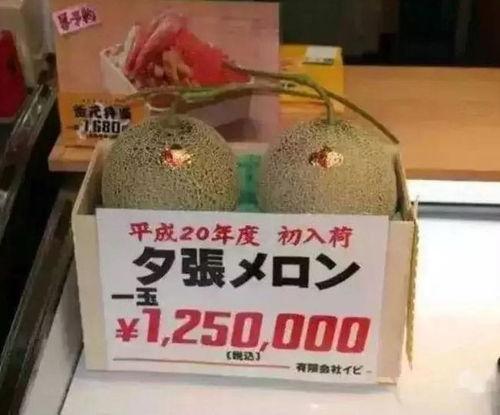 娱乐吃瓜钱,月入十万不是梦