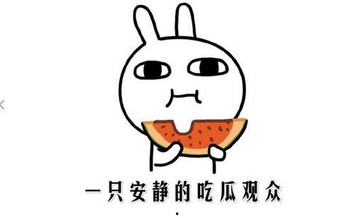 娱乐吃瓜酱如何吵架,揭秘网络热议背后的真相