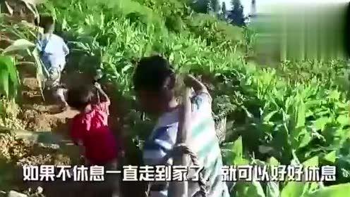 情人节娱乐吃瓜视频,明星互动、搞笑视频与八卦新闻盘点