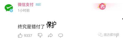 娱乐吃瓜酱励志语录,生活甜如糖，奋斗不止步