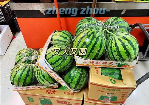 吃瓜娱乐郑州,趣味事件与美食文化交织的都市生活剪影”