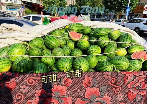 吃瓜娱乐郑州,趣味事件与美食文化交织的都市生活剪影”