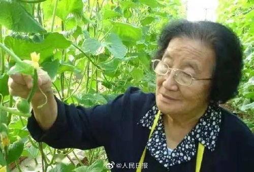 恐丑的娱乐吃瓜人的微博,揭秘微博“恐丑”吃瓜者的娱乐心理