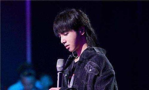 娱乐圈吃瓜华晨宇是谁啊,华晨宇的星途历程与争议焦点