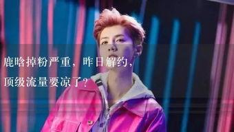 娱乐吃瓜酱你经历过,从吃瓜群众到酱酱娱乐达人