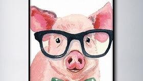 猪头娱乐吃瓜,揭秘娱乐圈背后的那些事儿