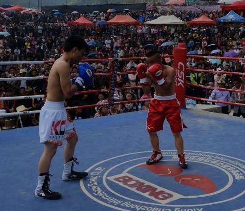 吃瓜娱乐拳击比赛视频在线观看,在线观看吃瓜娱乐拳击比赛精彩瞬间