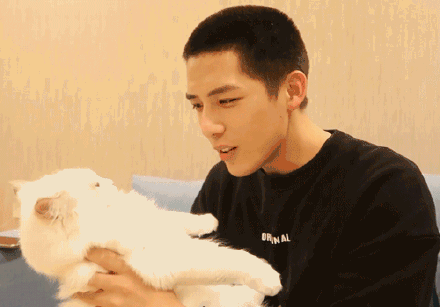 王安宇娱乐吃瓜,幕后故事与精彩瞬间