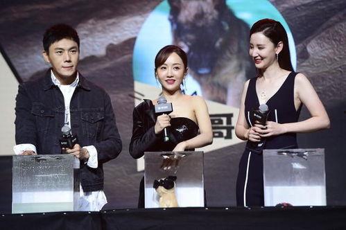 娱乐吃瓜最新剧组排名