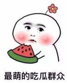 娱乐吃瓜酱千万不要,揭秘“娱乐吃瓜酱”背后的故事